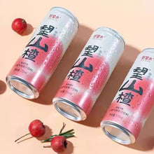 Load image into Gallery viewer, Hopewater Hawthorn Sparkling Water 330ml *** &lt;br&gt; 好望水 好望山山楂氣泡水